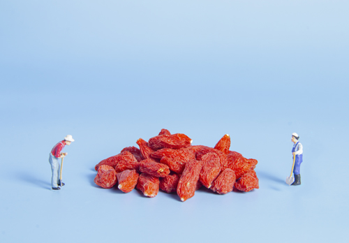 �֮�����T�Ʒ���(w��)